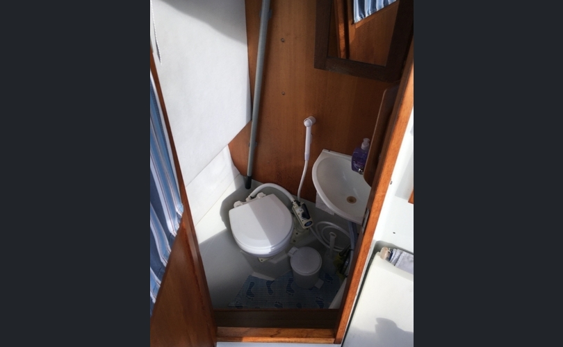 Albatross 870-kuva-11